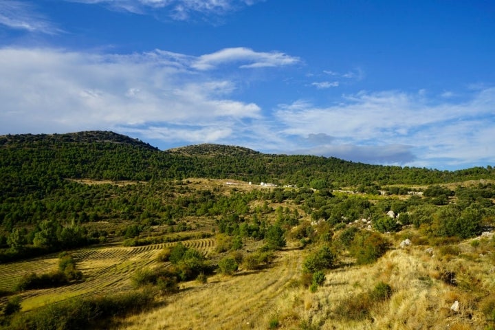 Secuoyas Granada