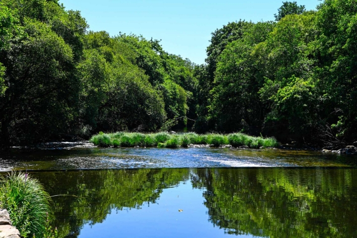 Las cristalinas aguas del río reflejan la arboleda que  lo bordea.