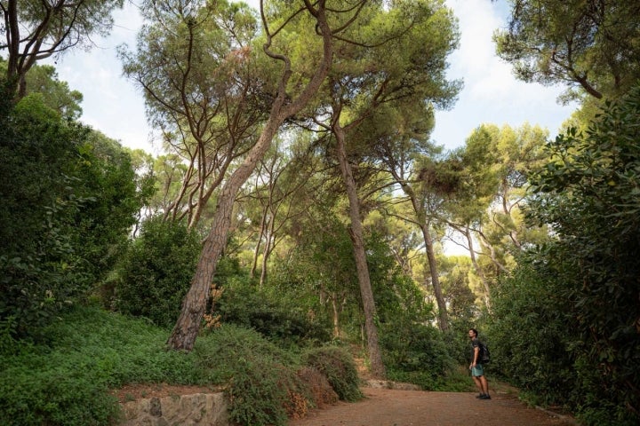 Siete Colinas Barcelona