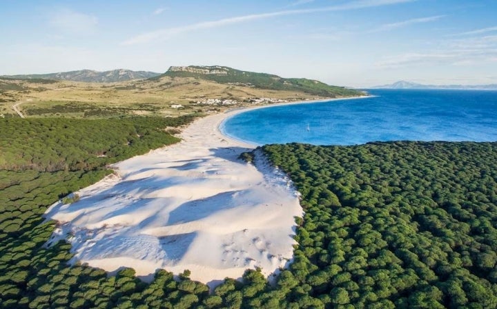 La duna, los pinares y el mar de la Playa de Bolonia.