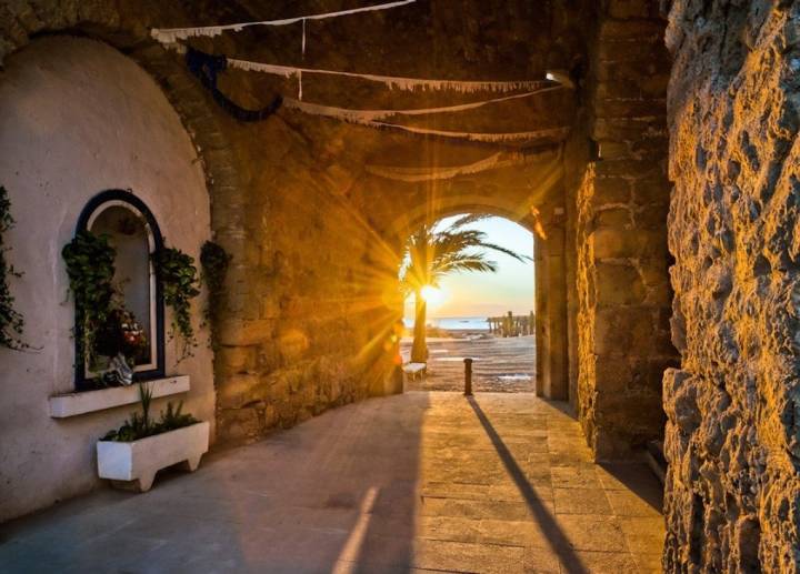 En plena bahía de Alicante, Tabarca resurge año tras año para dar la bienvenida a sus visitantes.