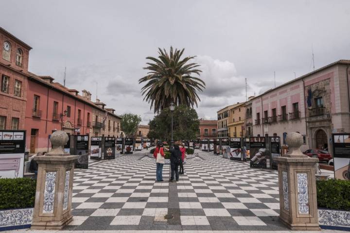 Vista de la Plaza del Pan con sus palmeras y sus característicos azulejos en blanco y negro.