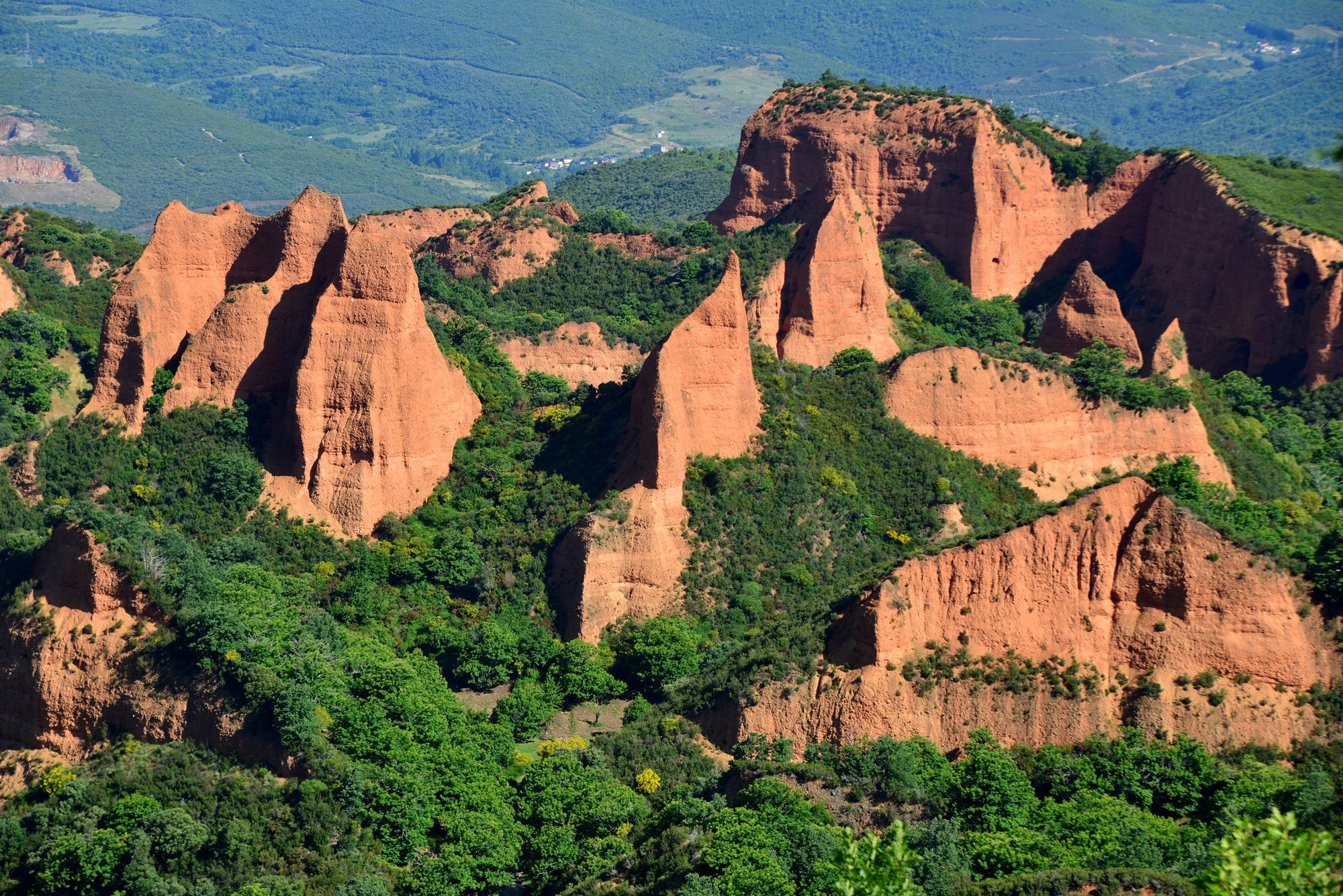 Tipos de bosques otoño castañar de Las Médulas