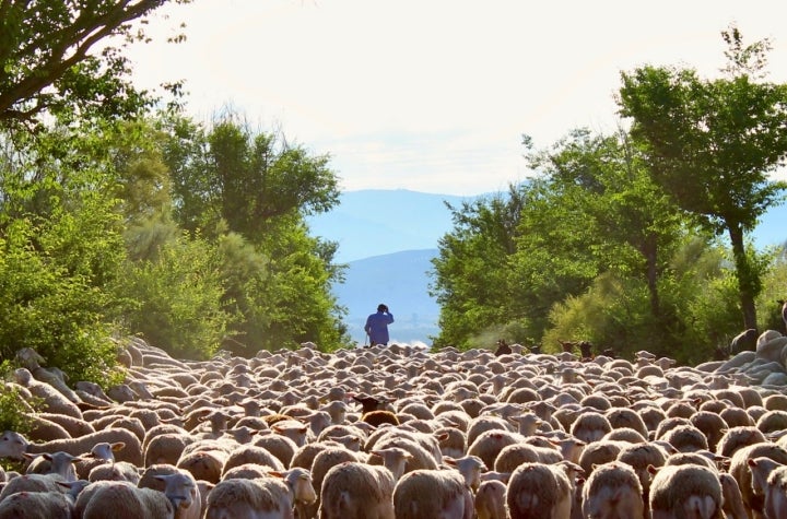 Por la vereda.