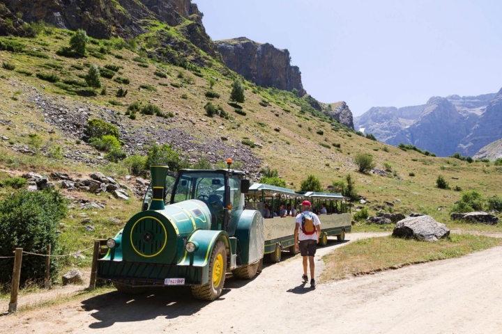 El tren turístico permite la presencia de animales. 