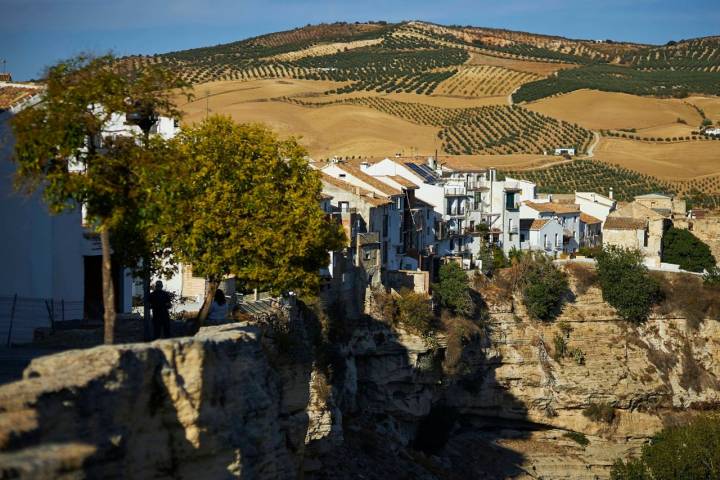 Vista lateral de Alhama de Granada con sus viñedos de fondo.