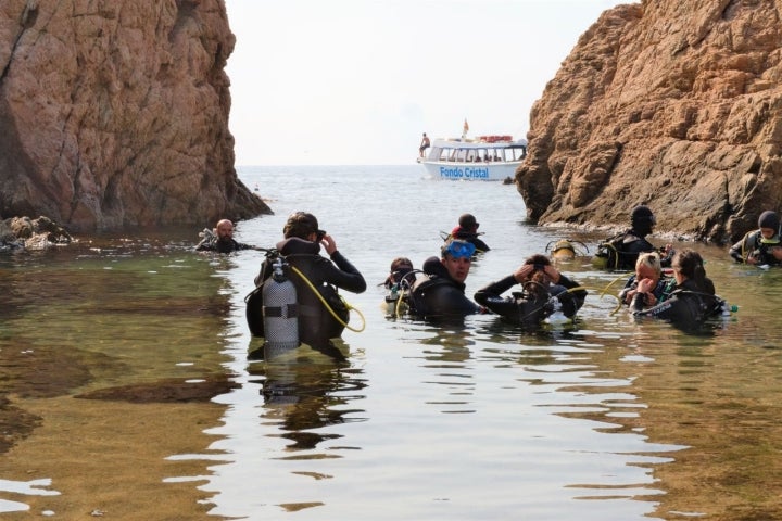 Puedes comenzar a bucear desde la playa, no hace falta ir en embarcación. Foto: Shutterstock.