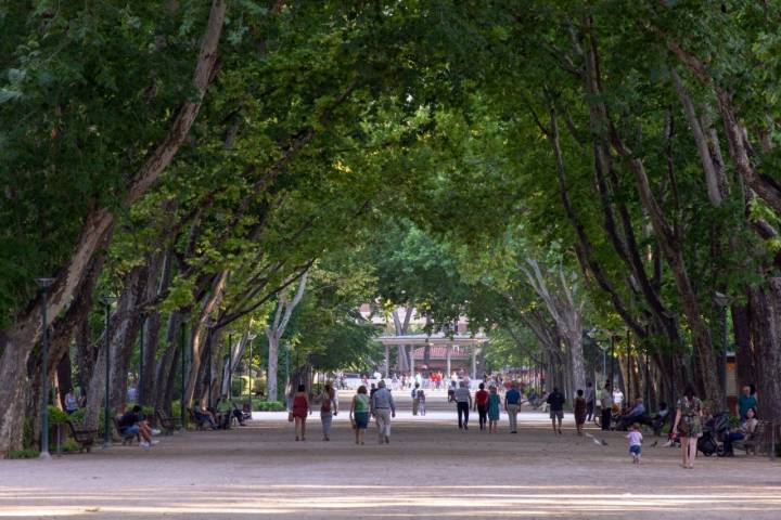El Parque Abelardo Sánchez, un gran oasis verde en pleno centro de la ciudad. Foto: Ramón Peco.