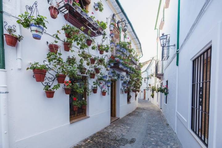 La tradición tan extendida por toda Andalucía y especialmente por Córdoba también está presente en las calles prieguenses.