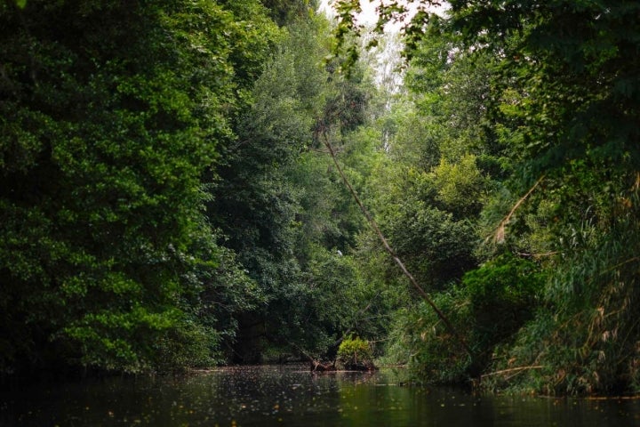 Naturaleza del río Miño, con sus afluentes.