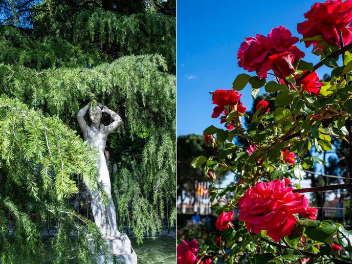 Una ninfa presiden el estanque de La Rosaleda del Parque del Oeste, en Madrid, rodeado de rosas.