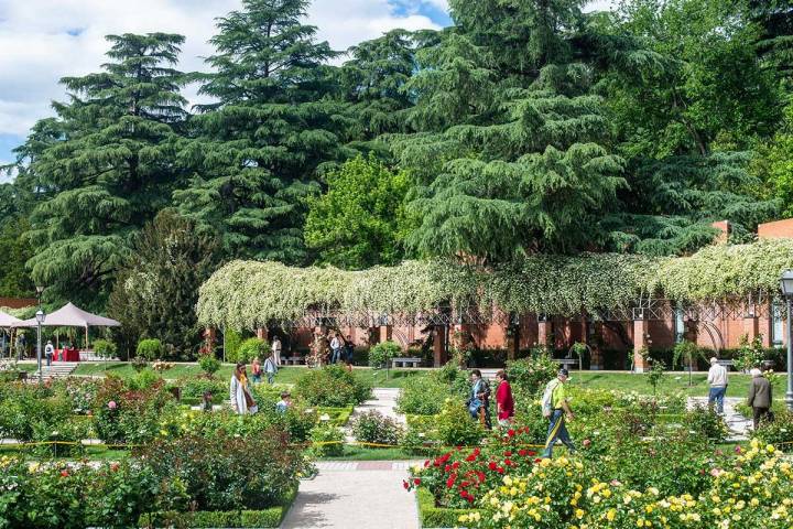 Vista del interior del jardín de La Rosaleda con turistas visitándolo, en el Parque del Oeste (Madrid).