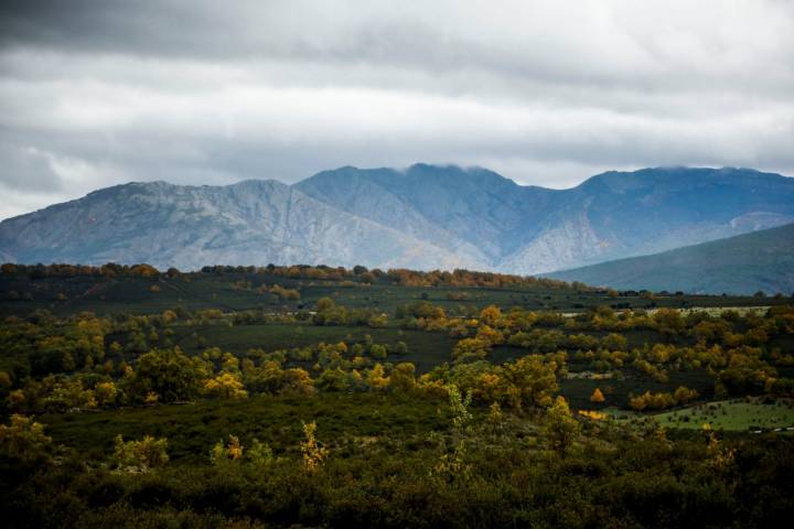 Los paisajes entre brumas forman una postal de lo más otoñal.