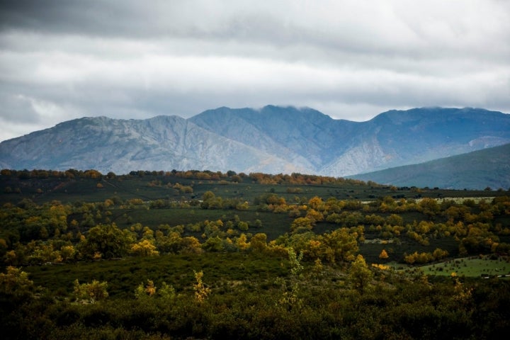 Los paisajes entre brumas forman una postal de lo más otoñal.