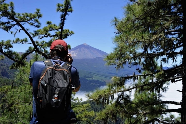 La GR-131 recorre la Corona Forestal sin perder de vista el Teide.