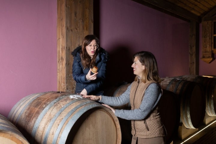 Bodega Francisco Gómez