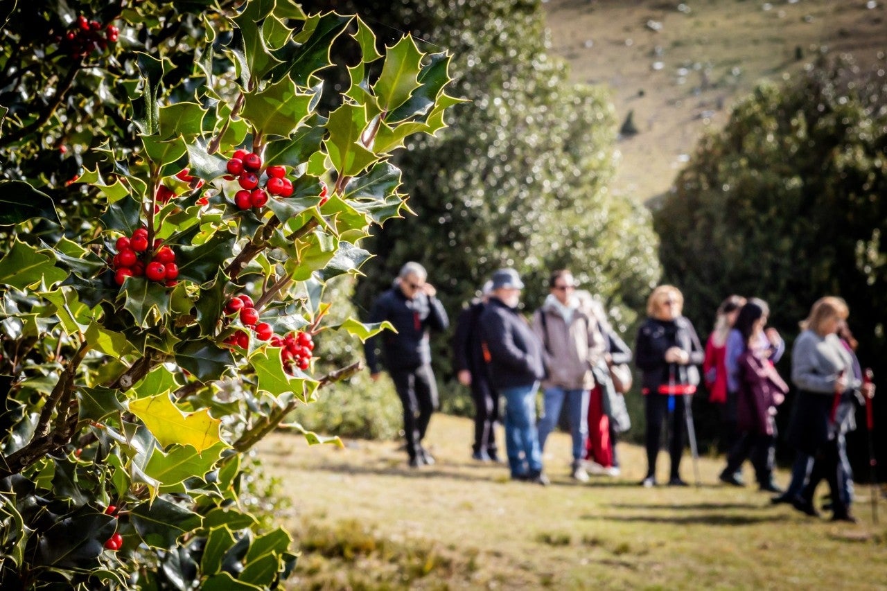 Con la llegada del frío, comienzan las rutas guiadas por el bosque.
