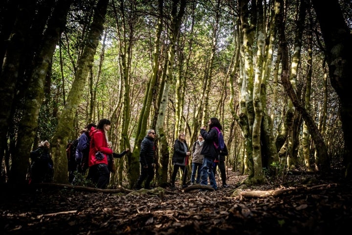 En el interior de un sestil.