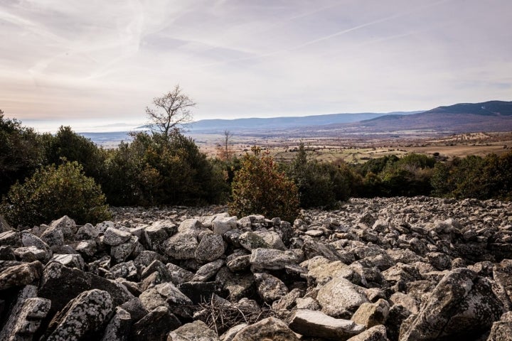 En mitad de canchal cuesta más crecer.