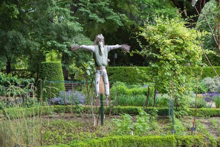 Un espantapájaros en la zona del huerto del Real Jardín Botánico de Madrid.