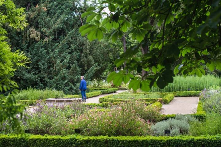 Un hombre pasea por el interior del Real Jardín Botánico de Madrid.