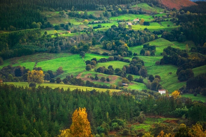 Carranza Euskadi