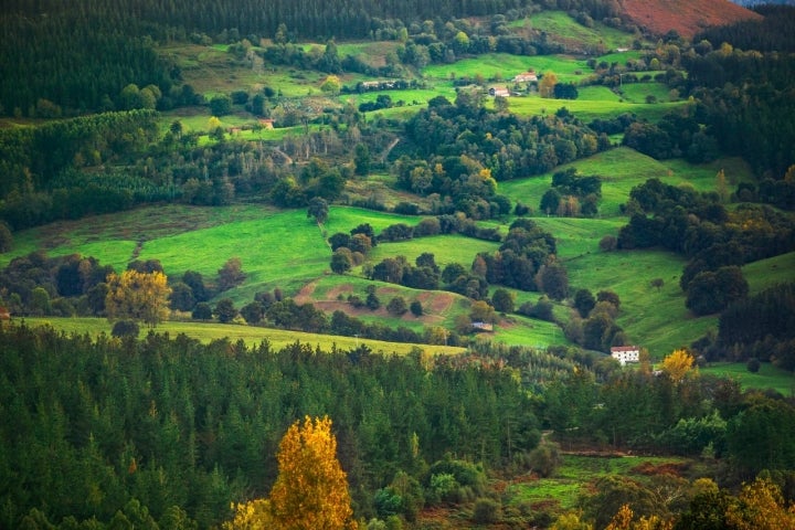 Carranza Euskadi