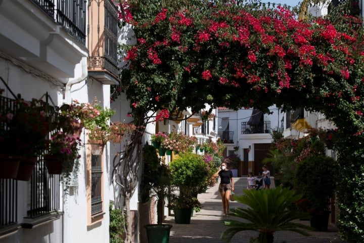 Estepona (Málaga)