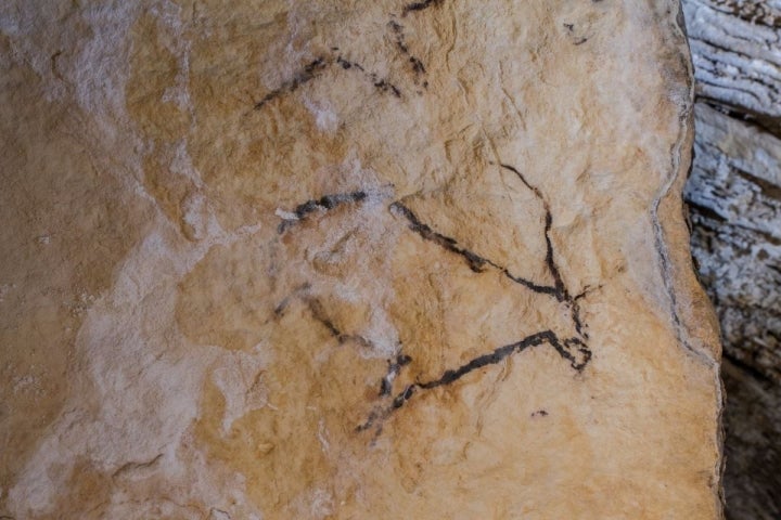 La pintura rupestre de una cabra, en la sala de las Columnas de Hércules, en las Galerías Altas. Foto: Fundación Cueva de Nerja.