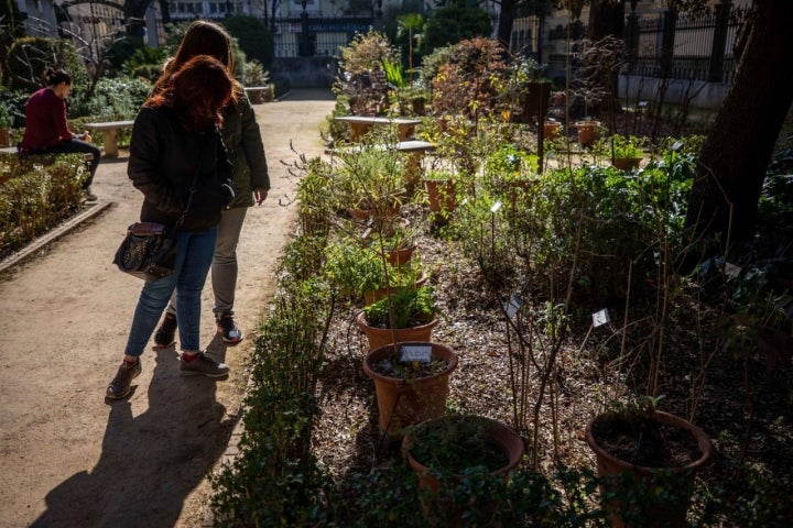 jardin botanico granada