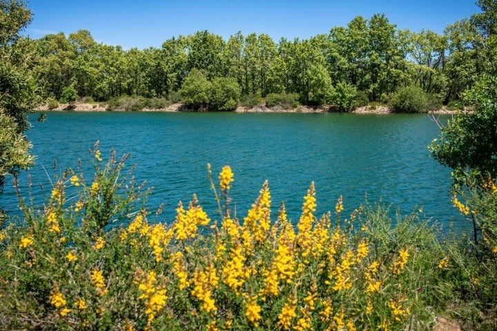 Laguna del Samoral en Prádena.