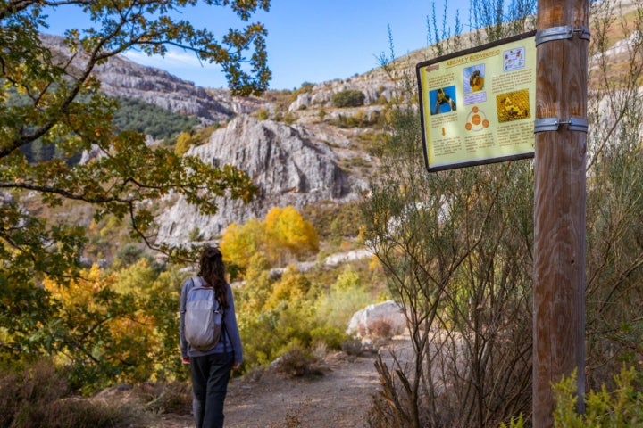 Valverde de los Arroyos