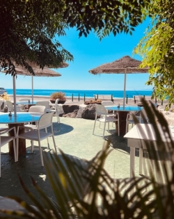 Foto Instagram restaurante