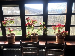 Foto cedida por el restaurante