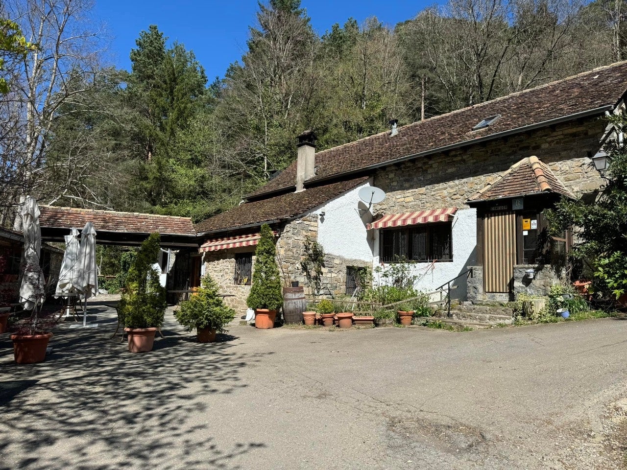 Borda Arracona
