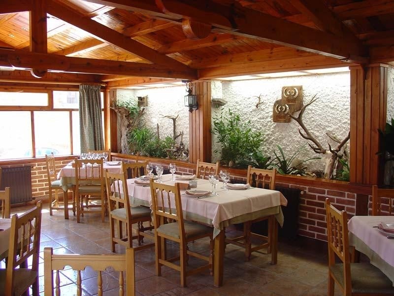 Cintora