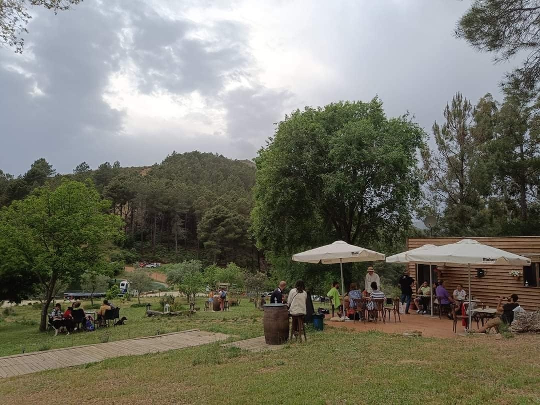 El Collao