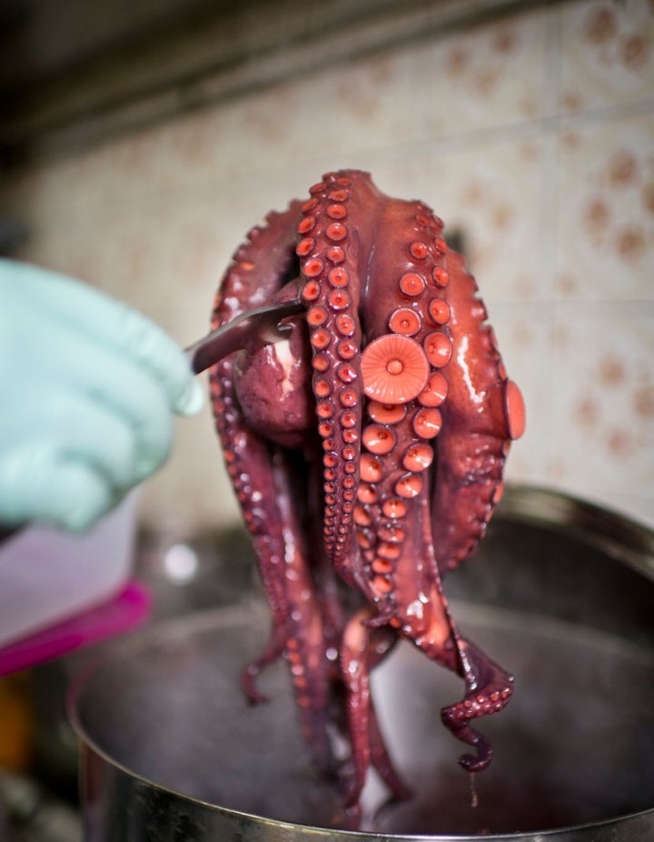 Uhmm, el pulpo ya está cocido y huele que alimenta.