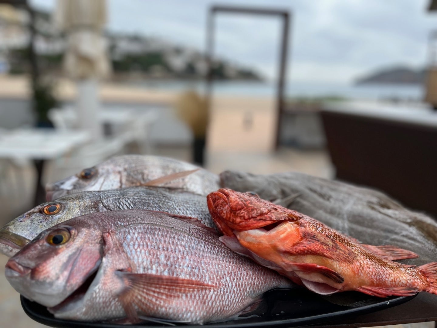 La brasa de Can Miquel