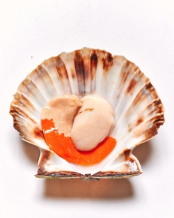 Foto fornecida pelo restaurante