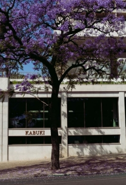 Foto fornecida pelo estabelecimento