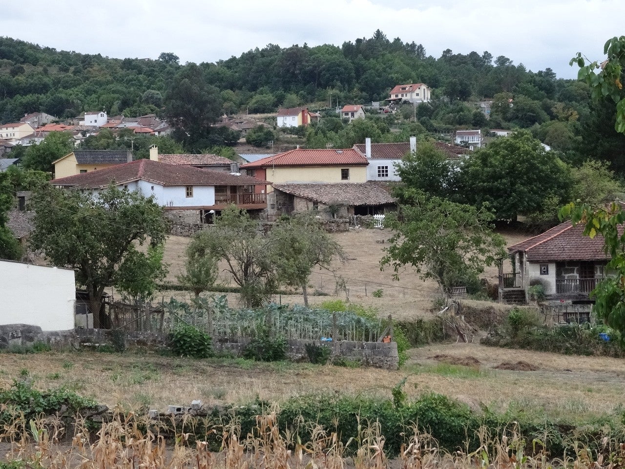 O Pereiro de Aguiar