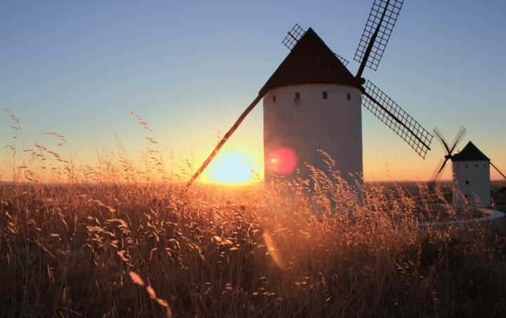 Molinos de viento. Foto: Ayuntamiento Alcázar de San Juan.