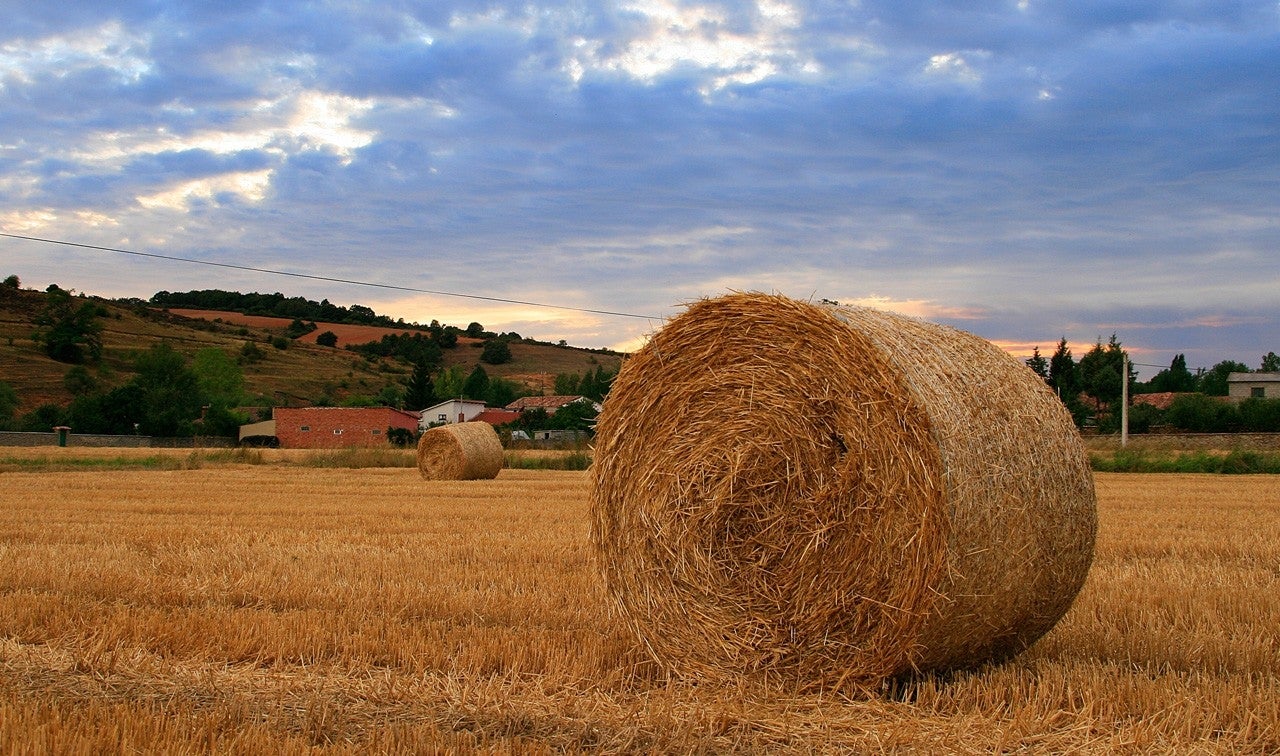 Respenda de la Peña