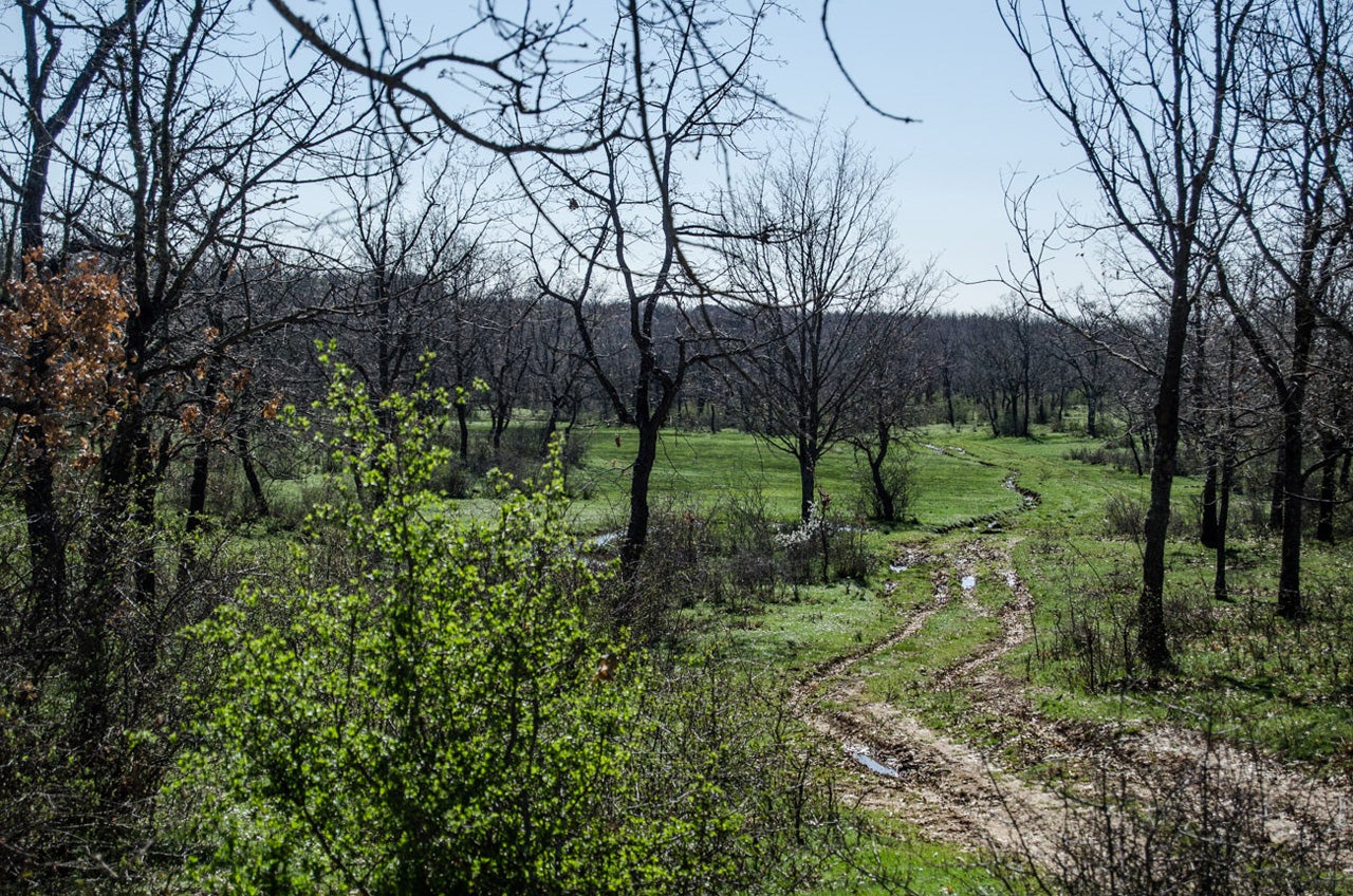 Santa María del Monte de Cea (León) Planes e información turística