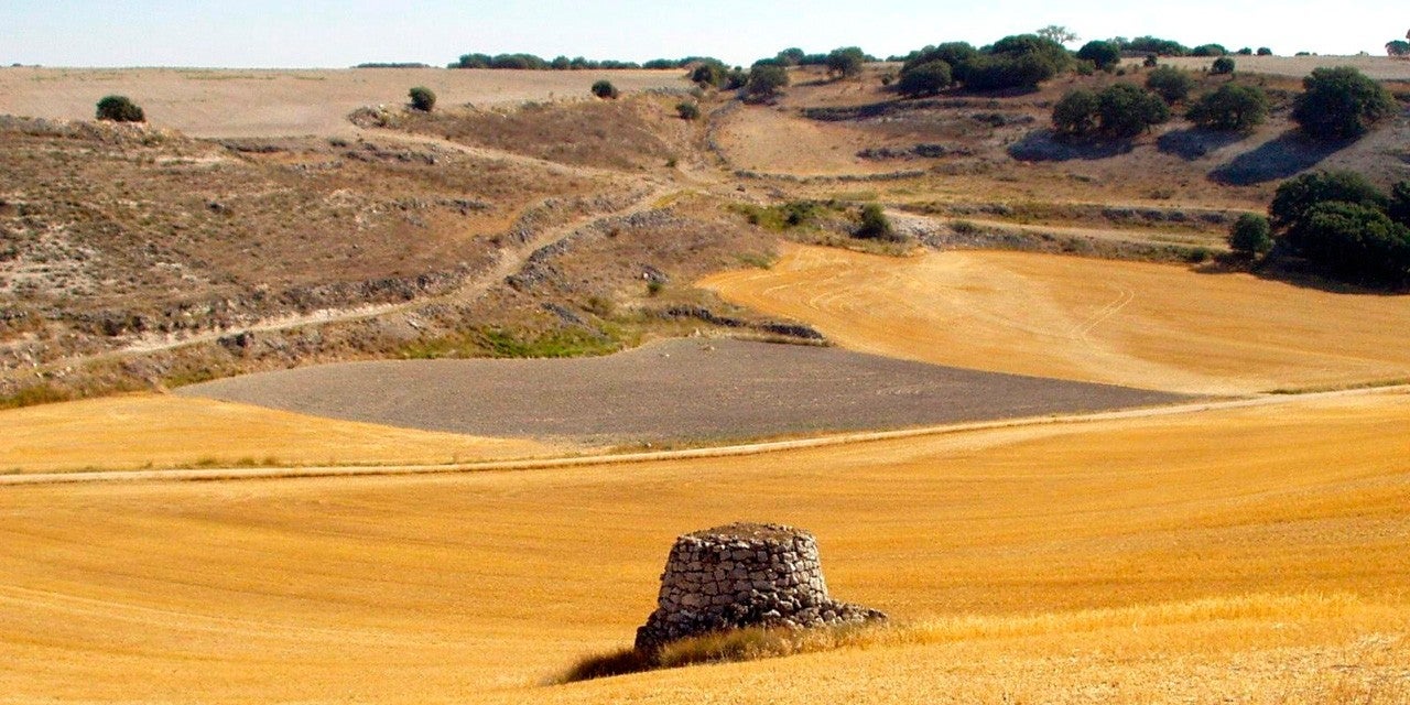 Corrales de Duero