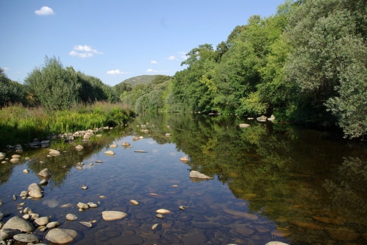 Río Alagón