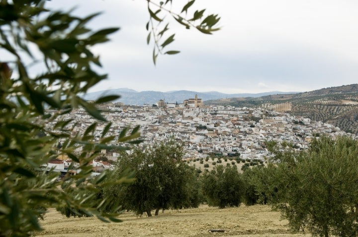 Vista panorámica de Baena