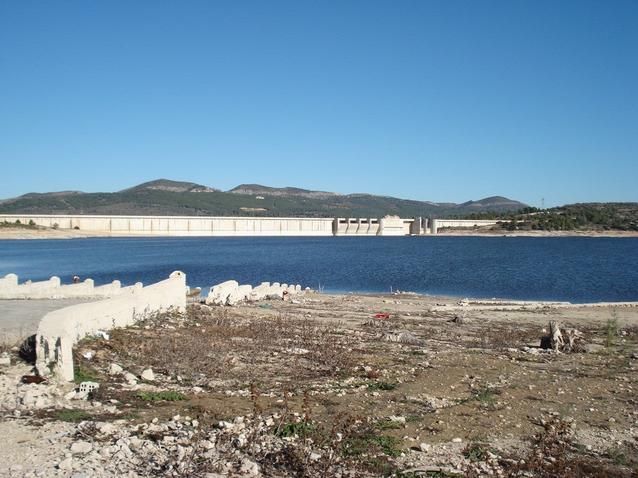 Bellús