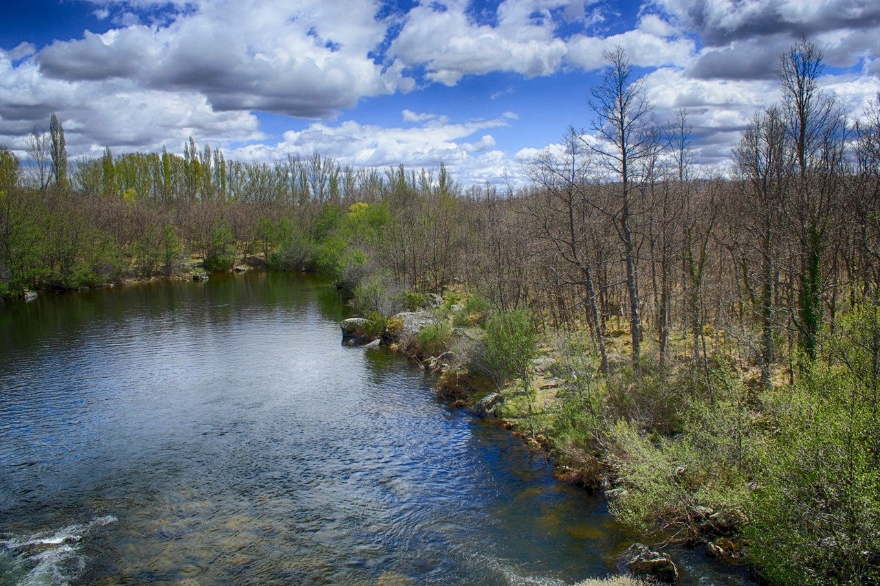 Milles de la Polvorosa